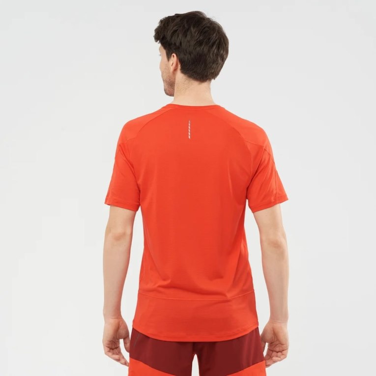 Salomon Cross Run Short Sleeve Men's T-Shirts Orange | CA 21Y49
